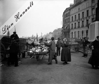 11 Marchandes de poisson à Boulogne avant 1914