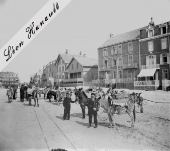 19 Les âniers à Berck avant 1914