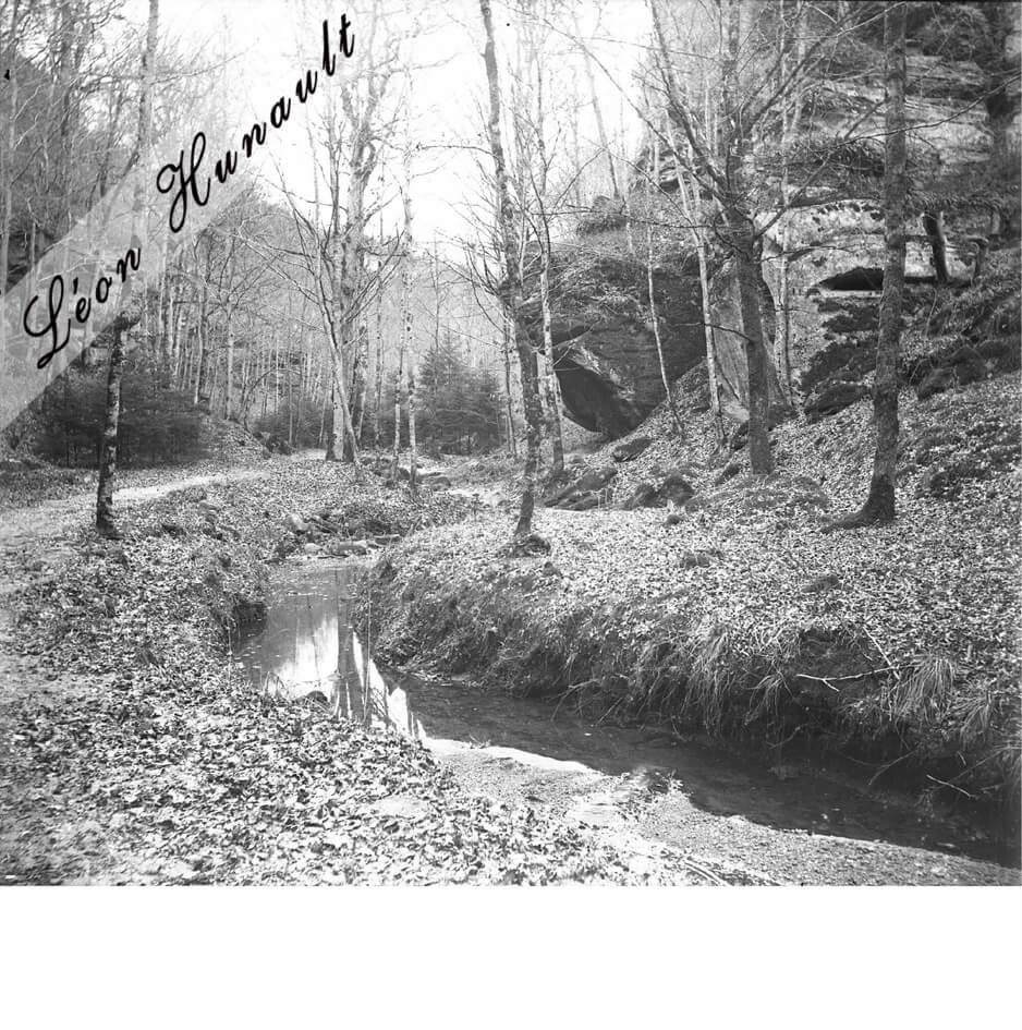 10 Luxembourg - sous-bois II