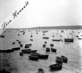 11 Cancale à marée basse