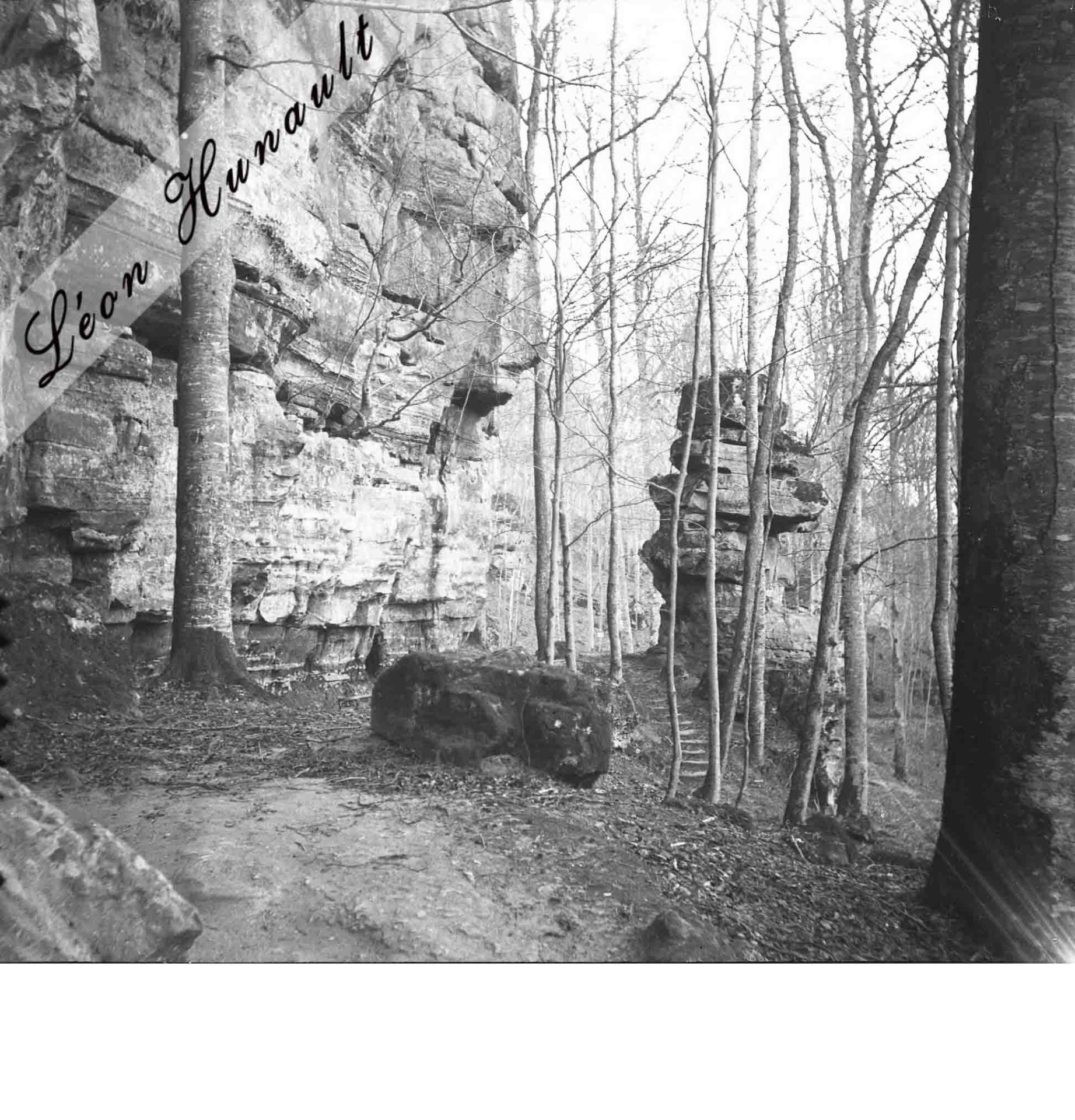 11 Luxembourg - sous-bois III
