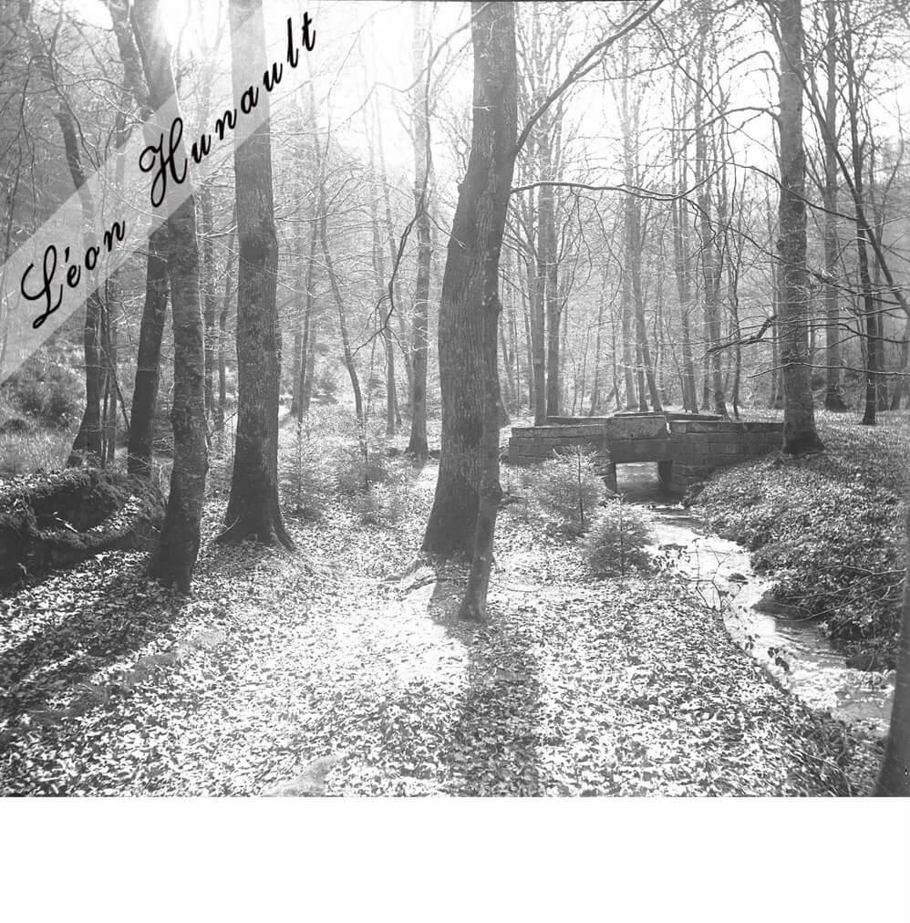 12 Luxembourg - sous-bois IV