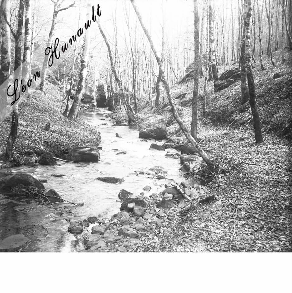 9 Luxembourg - sous-bois I